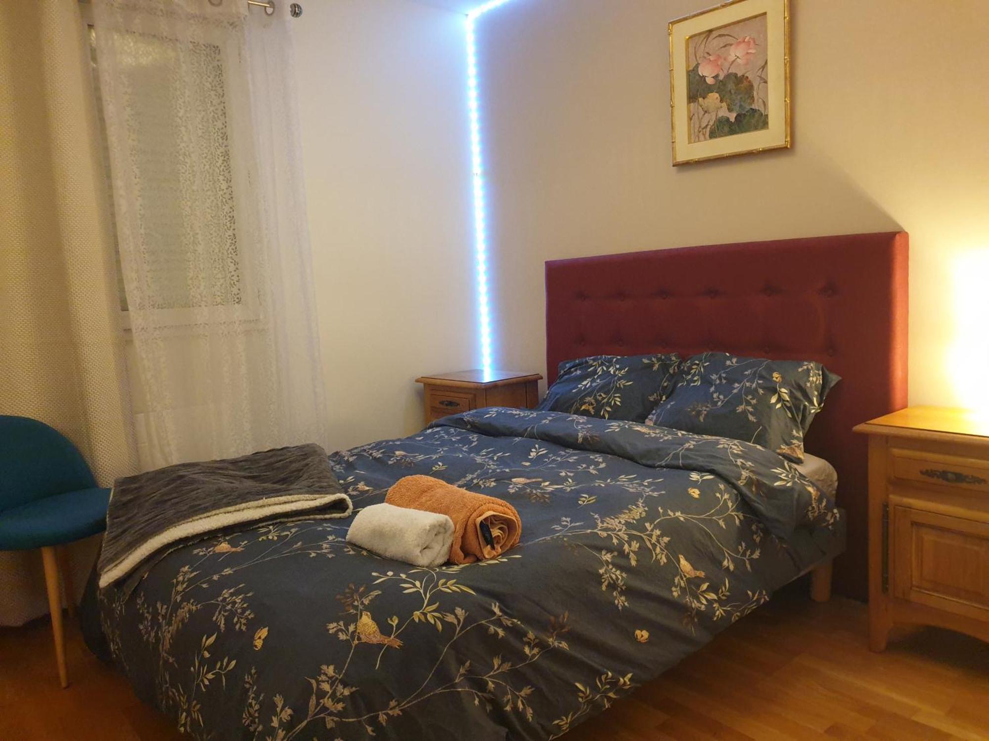 Spacieux Et Calme, Style Parisien, Toutes Commodites, Ideal Pour Un Sejour Authentique Saint-Denis  Bilik gambar